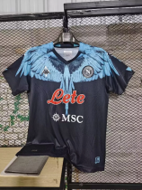 23/24 Napoli Joint edition Fan Version Soccer Jersey