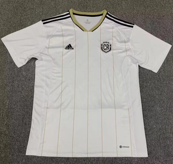 23/24 Costa Rica  away  Fan Version Soccer Jersey