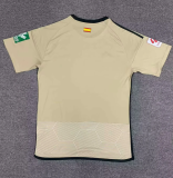 23/24  Granada CF Second away soccer Jersey Fans Version