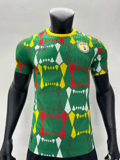 2023 Africa Cup Senegal training suit Player Version Soccer Jersey