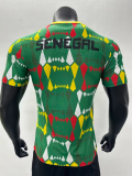 2023 Africa Cup Senegal training suit Player Version Soccer Jersey