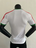 23/24 Algeria home Player version Soccer Jersey