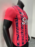 23/24 Everton away  Player Version soccer Jersey