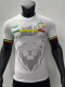 2023 Africa Cup Senegal training suit Player Version Soccer Jersey