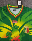 23/24 Mali away green Fan Version  Soccer Jersey