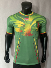 23/24 Mali away green Player Version  Soccer Jersey
