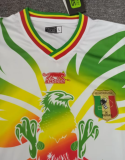 23/24 Mali home white Fan Version  Soccer Jersey