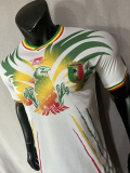 23/24 Mali home white Player Version  Soccer Jersey