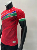 23/24 Africa Cup Gambia home player version Soccer Jersey