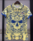 23/24 America special edition Polo Shirts
