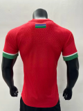 23/24 Africa Cup Gambia home player version Soccer Jersey