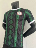 23/24 Nigeria special edition Player Version Soccer Jersey