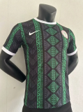 23/24 Nigeria special edition Player Version Soccer Jersey