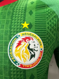 23/24 Africa Cup Senegal away  Player Version Soccer Jersey