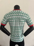 23/24 Nigeria special edition Player Version Soccer Jersey