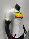 23/24 Africa Cup Senegal home  Player Version Soccer Jersey