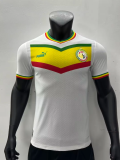 23/24 Africa Cup Senegal home  Player Version Soccer Jersey