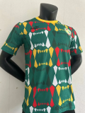 23/25 Senegal home  Player Version Soccer Jersey