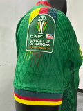 23/24 Cameroon home Player Version Soccer Jersey