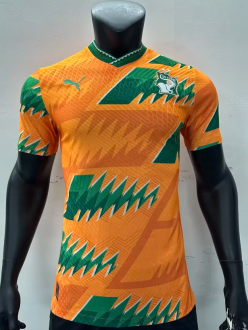23/24 Ivory Coast special edition Player Version  Soccer Jersey 科特迪瓦