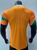 23/24 Ivory Coast special edition Player Version  Soccer Jersey 科特迪瓦