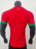 23/24 Morocco Home Player Version Soccer Jersey