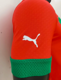 23/24 Morocco Home Player Version Soccer Jersey