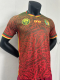 24/25 Cameroon special edition Player Version Soccer Jersey