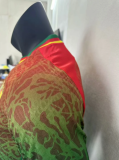 24/25 Cameroon special edition Player Version Soccer Jersey