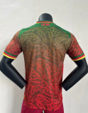 24/25 Cameroon special edition Player Version Soccer Jersey