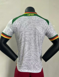 24/25 Cameroon special edition Player Version Soccer Jersey