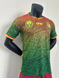24/25 Cameroon special edition Player Version Soccer Jersey