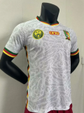 24/25 Cameroon special edition Player Version Soccer Jersey