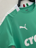 Retro 1920 Palmeiras Second away Soccer Jersey