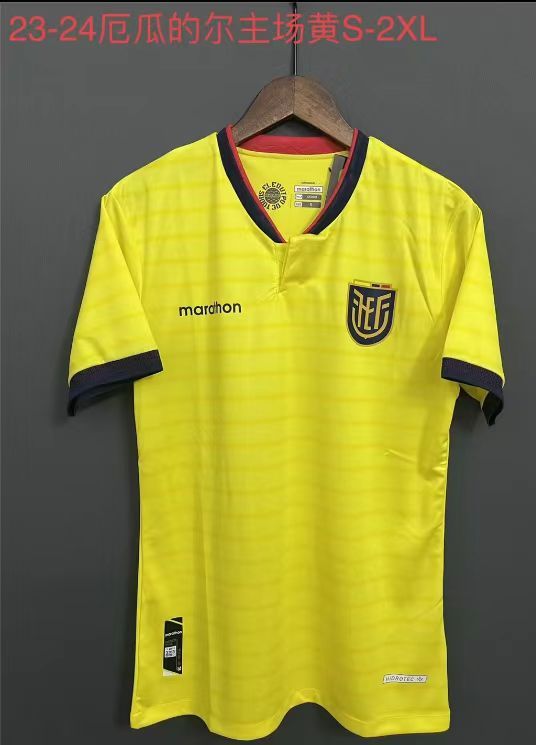 23-24 World Cup Ecuadorian fans' version of the home yellow jersey