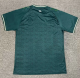 24/25 Werder Bremen Special Edition Fan Version Soccer Jersey