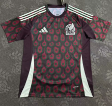 24/25  Mexico home Fans Version  Soccer Jersey