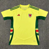 24/25 Welsh  away Fans Version Soccer Jersey