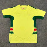 24/25 Welsh  away Fans Version Soccer Jersey