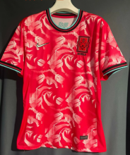 24/25 Korea home Fan Version Soccer Jersey