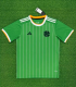 24/25 Celtic special edition Fans Version  Soccer Jersey
