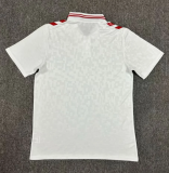24/25 Denmark away Fan Version Soccer Jersey