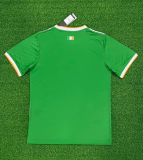 24/25 Celtic special edition Fans Version  Soccer Jersey