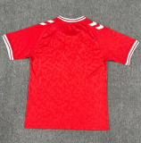 24/25 Denmark home Fan Version Soccer Jersey