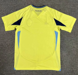 24/25  Sweden home Fans Version Soccer Jersey