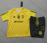 24/25 Tigres training suit kids Soccer jersey