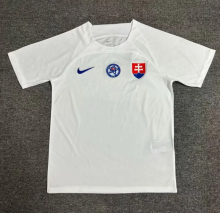 24/25  Slovakia away Fan Version Soccer Jersey