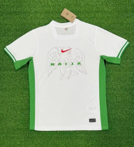 24/25  Nigeria home Fan Version Soccer Jersey