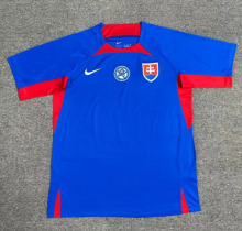 24/25  Slovakia home Fan Version Soccer Jersey