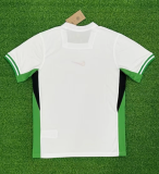 24/25  Nigeria home Fan Version Soccer Jersey